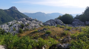 Názov súboru=1J_Valusnica_Talijanka_2.jpg
Veľkosť súboru=4028KB
Veľkosť=4624x2604
Dátum pridania=28. September 2024 1J_Valusnica_Talijanka_2.jpg