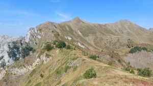 Názov súboru=1J_Valusnica_Talijanka_6.jpg
Veľkosť súboru=3757KB
Veľkosť=4624x2604
Dátum pridania=28. September 2024 1J_Valusnica_Talijanka_6.jpg