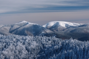 Názov súboru=1Ostra09.JPG
Veľkosť súboru=1152KB
Veľkosť=1296x864
Dátum pridania=17. December 2021 1Ostra09.JPG