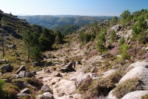 Názov súboru=A_Borageiro01.JPG
Veľkosť súboru=1594KB
Veľkosť=1296x864
Dátum pridania=09. Január 2021 A_Borageiro01.JPG