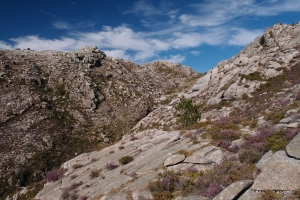 Názov súboru=A_Borageiro11.JPG
Veľkosť súboru=1465KB
Veľkosť=1296x864
Dátum pridania=09. Január 2021 A_Borageiro11.JPG