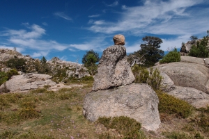 Názov súboru=A_Borageiro12.JPG
Veľkosť súboru=1450KB
Veľkosť=1296x864
Dátum pridania=09. Január 2021 A_Borageiro12.JPG