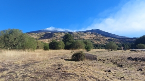 A_Celok_Sicilia_6.jpg