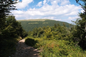 Názov súboru=A_Poloniny17.JPG
Veľkosť súboru=1192KB
Veľkosť=1296x864
Dátum pridania=13. Január 2021 A_Poloniny17.JPG