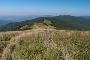 Názov súboru=A_Poloniny21.JPG
Veľkosť súboru=1222KB
Veľkosť=1296x864
Dátum pridania=13. Január 2021 A_Poloniny21.JPG
