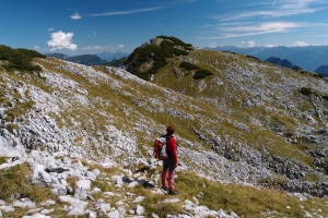 Názov súboru=A_Traweng16.JPG
Veľkosť súboru=1627KB
Veľkosť=1296x864
Dátum pridania=09. Január 2021 A_Traweng16.JPG