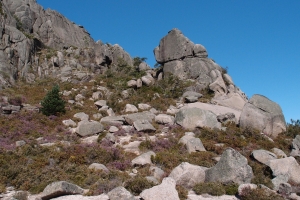 Názov súboru=B_Cabril07.JPG
Veľkosť súboru=1457KB
Veľkosť=1296x864
Dátum pridania=09. Január 2021 B_Cabril07.JPG