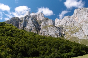Názov súboru=B_Tesorero01.JPG
Veľkosť súboru=1492KB
Veľkosť=1296x864
Dátum pridania=09. Január 2021 B_Tesorero01.JPG