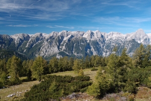 Názov súboru=C_Hoss03.JPG
Veľkosť súboru=1464KB
Veľkosť=1296x864
Dátum pridania=09. Január 2021 C_Hoss03.JPG