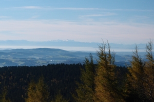 Názov súboru=Cechy202109.JPG
Veľkosť súboru=938KB
Veľkosť=1296x864
Dátum pridania=02. Január 2022 Cechy202109.JPG