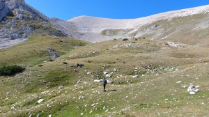 D_Apeniny_6.jpg