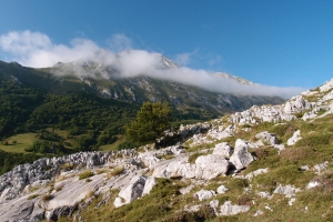 Názov súboru=D_Cabesa02.JPG
Veľkosť súboru=1355KB
Veľkosť=1296x864
Dátum pridania=09. Január 2021 D_Cabesa02.JPG