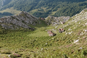 Názov súboru=D_Cabesa03.JPG
Veľkosť súboru=1698KB
Veľkosť=1296x864
Dátum pridania=09. Január 2021 D_Cabesa03.JPG