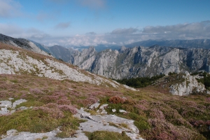 Názov súboru=D_Cabesa04.JPG
Veľkosť súboru=1425KB
Veľkosť=1296x864
Dátum pridania=09. Január 2021 D_Cabesa04.JPG
