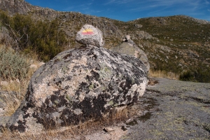 Názov súboru=D_Estrela02.JPG
Veľkosť súboru=1690KB
Veľkosť=1296x864
Dátum pridania=09. Január 2021 D_Estrela02.JPG