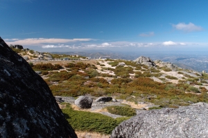 Názov súboru=E_Torre05.JPG
Veľkosť súboru=1320KB
Veľkosť=1296x864
Dátum pridania=09. Január 2021 E_Torre05.JPG
