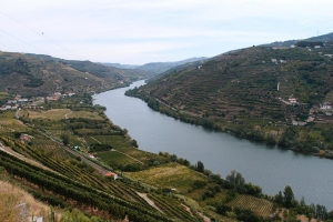 Názov súboru=F_Douro04.JPG
Veľkosť súboru=865KB
Veľkosť=1296x864
Dátum pridania=09. Január 2021 F_Douro04.JPG