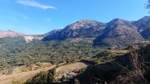 G_Celok_Sicilia_7.jpg