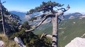 H_Apeniny_7.jpg