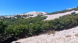 H_Celok_Sicilia_5.jpg