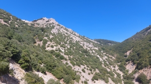 I_Celok_Sicilia_3.jpg