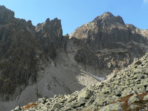 P1040043_1.jpg
