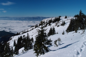 Názov súboru=Tlsta02.JPG
Veľkosť súboru=1145KB
Veľkosť=1296x864
Dátum pridania=17. December 2021 Tlsta02.JPG