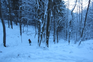 Názov súboru=Tlsta03.jpg
Veľkosť súboru=936KB
Veľkosť=1296x864
Dátum pridania=17. December 2021 Tlsta03.jpg