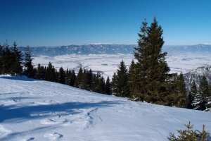Názov súboru=Tlsta15.JPG
Veľkosť súboru=1098KB
Veľkosť=1296x864
Dátum pridania=17. December 2021 Tlsta15.JPG