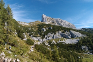 Názov súboru=Traweng03.JPG
Veľkosť súboru=1341KB
Veľkosť=1296x864
Dátum pridania=25. November 2021 Traweng03.JPG