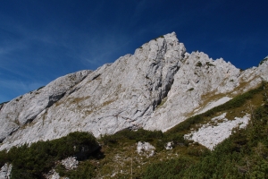 Názov súboru=Traweng05.JPG
Veľkosť súboru=1273KB
Veľkosť=1296x864
Dátum pridania=25. November 2021 Traweng05.JPG