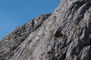 Názov súboru=Traweng06.JPG
Veľkosť súboru=1153KB
Veľkosť=1296x864
Dátum pridania=25. November 2021 Traweng06.JPG