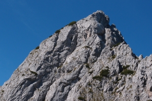 Názov súboru=Traweng07.JPG
Veľkosť súboru=1270KB
Veľkosť=1296x864
Dátum pridania=25. November 2021 Traweng07.JPG