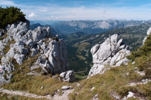 Názov súboru=Traweng18.JPG
Veľkosť súboru=1464KB
Veľkosť=1296x864
Dátum pridania=25. November 2021 Traweng18.JPG