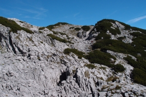 Názov súboru=Traweng20.JPG
Veľkosť súboru=1398KB
Veľkosť=1296x864
Dátum pridania=25. November 2021 Traweng20.JPG