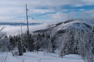Názov súboru=VelVap_zima06.JPG
Veľkosť súboru=1183KB
Veľkosť=1296x864
Dátum pridania=07. Február 2022 VelVap_zima06.JPG