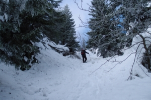 Názov súboru=VelkyChoc06.JPG
Veľkosť súboru=1174KB
Veľkosť=1296x864
Dátum pridania=17. December 2021 VelkyChoc06.JPG