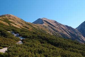 Volovec01.JPG