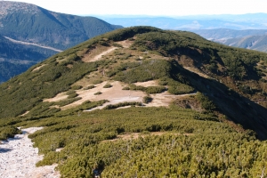 Názov súboru=Volovec05.JPG
Veľkosť súboru=1443KB
Veľkosť=1296x864
Dátum pridania=30. Október 2021 Volovec05.JPG